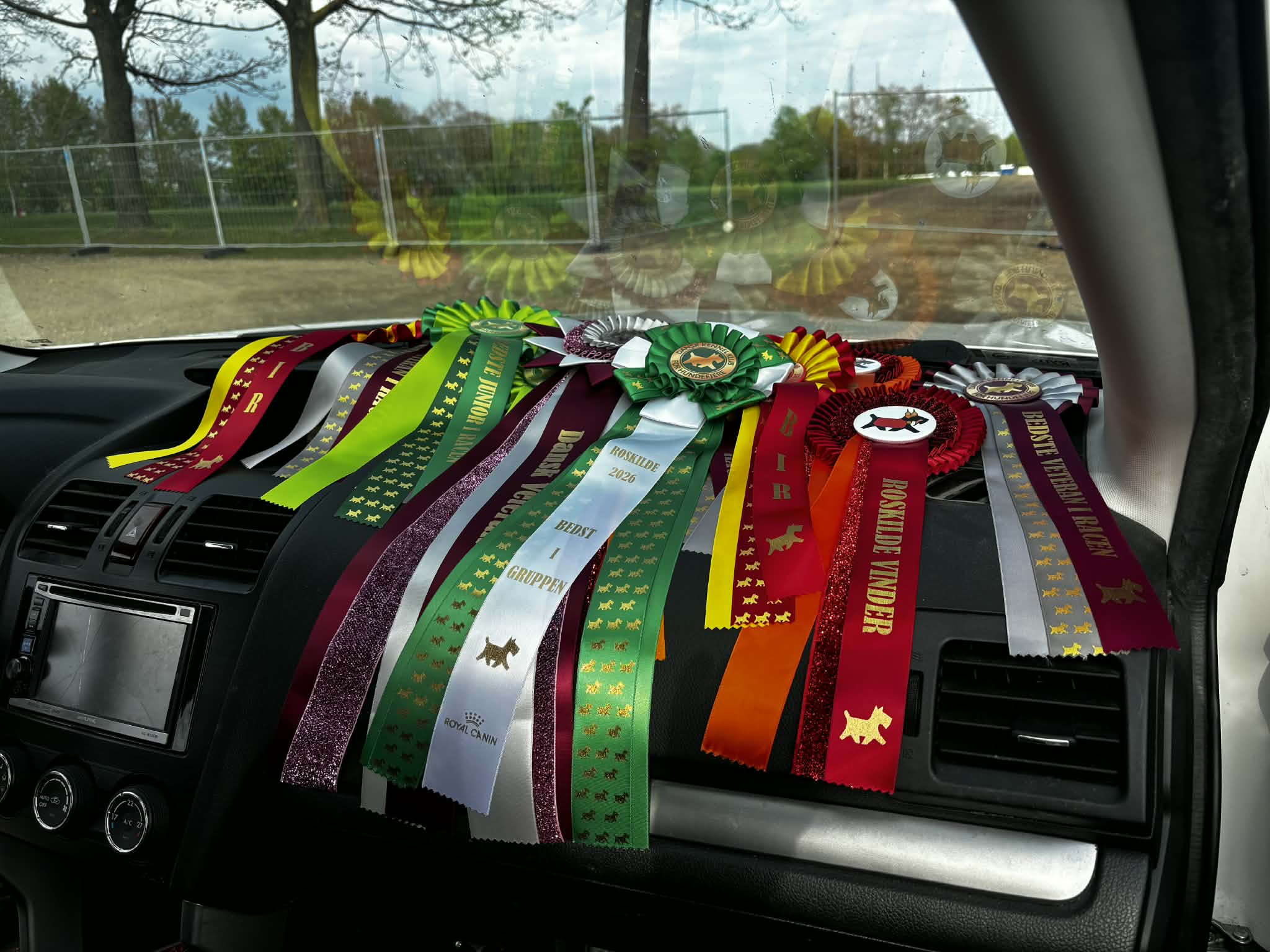 Roskilde Dog Show 1-3/5, 2026