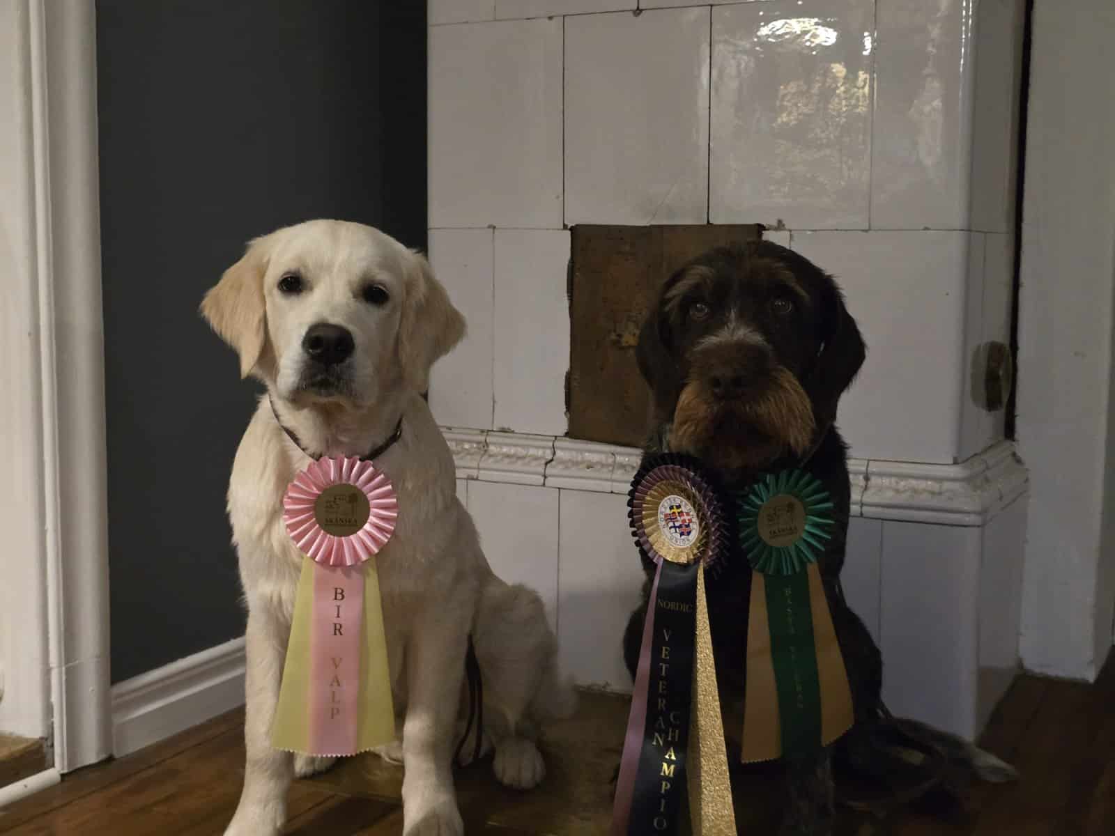 Tomelilla Nordic Dog Show 12-13/9